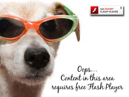 Get Adobe Flash player
